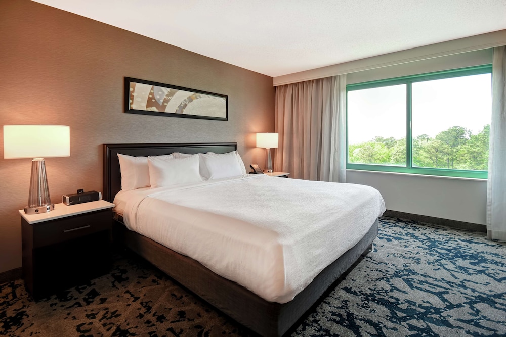 Suite, 1 King Bed - Photo 2