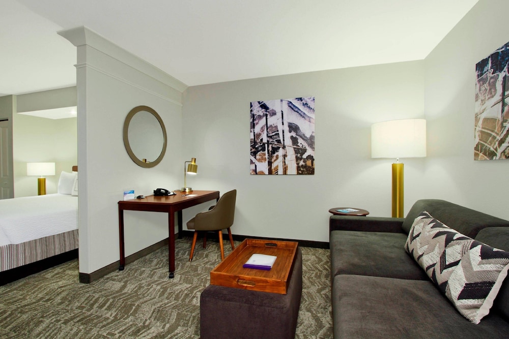 Studio Suite, 1 King Bed with Sofa bed (Hearing Accessible) - Photo 5