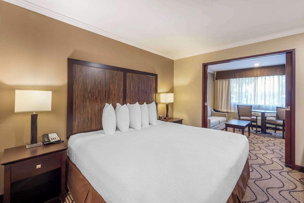 Standard Room, 1 King Bed, Non Smoking, Jetted Tub (with Sofabed) - Photo 4