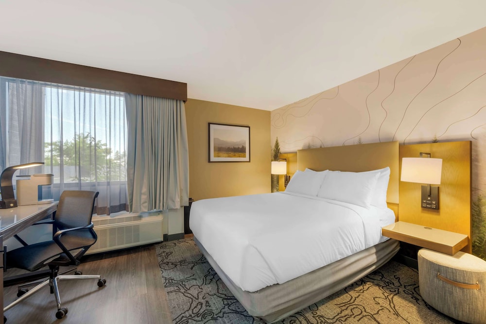 Standard Room, 1 Queen Bed, Accessible, Refrigerator & Microwave photo 3