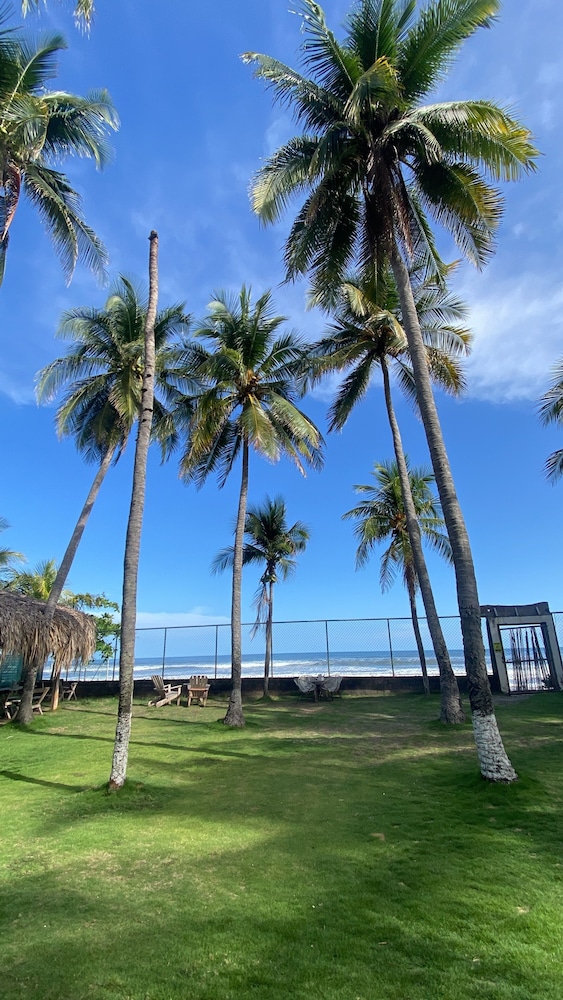 Standard Room, Ocean View photo 2