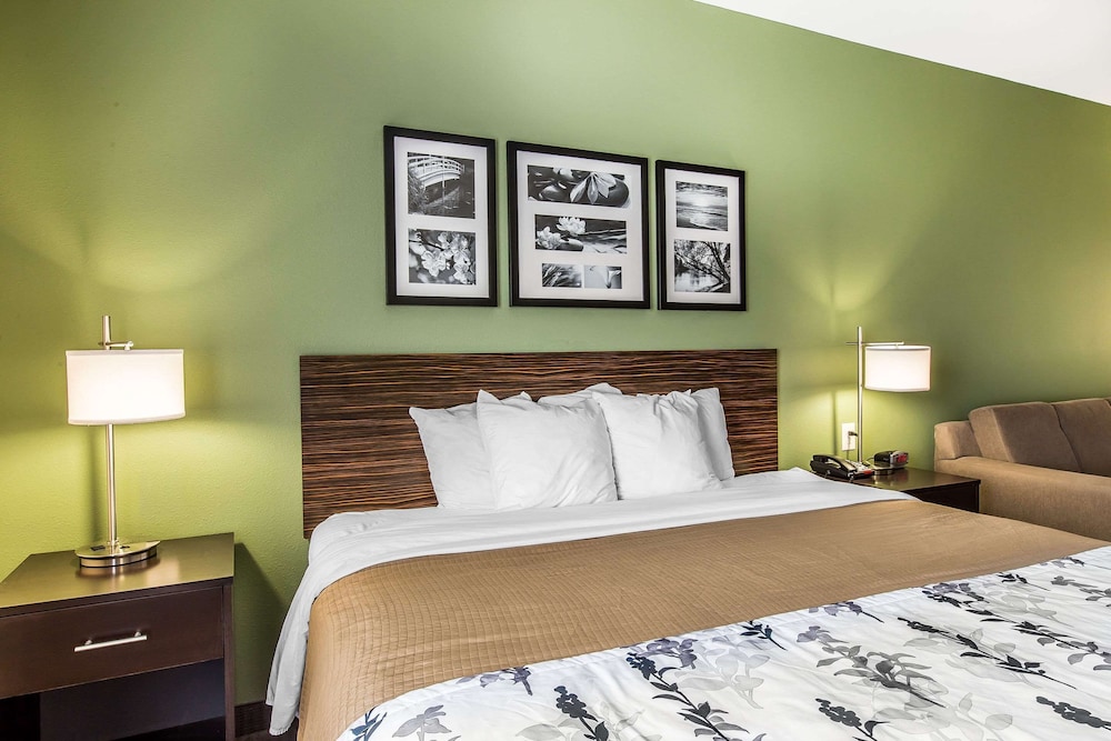 Standard Room, 1 King Bed, Non Smoking - Photo 4