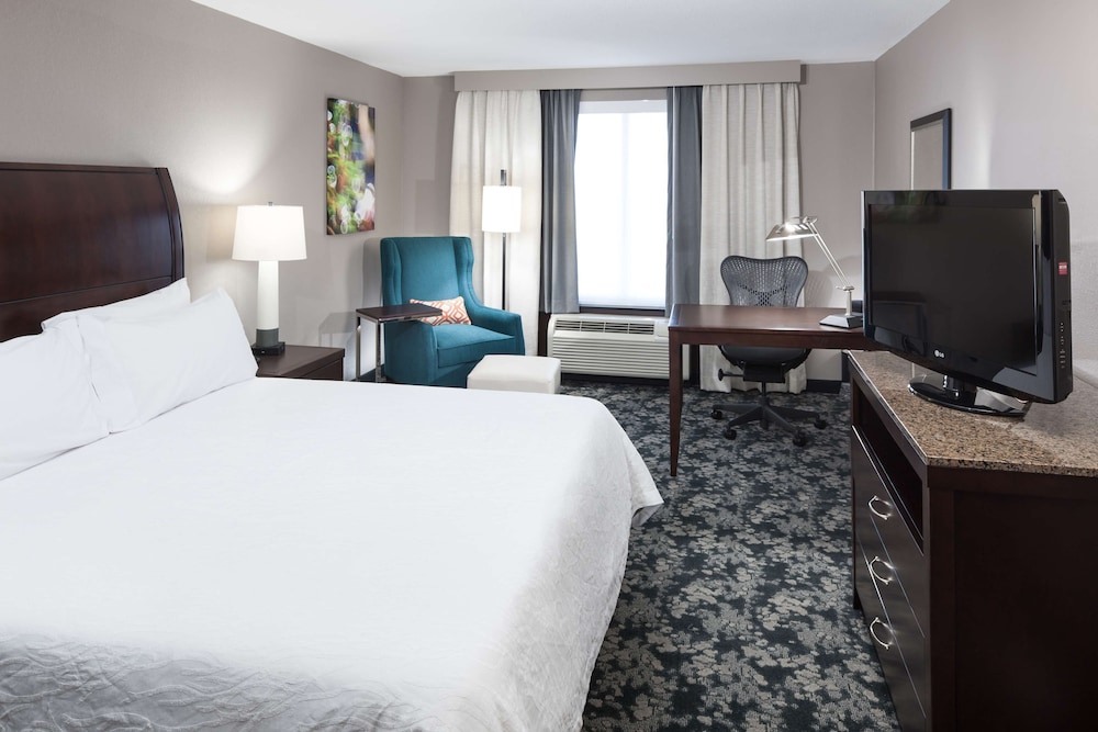 Room, 1 King Bed, Accessible (Mobility & Hearing, Roll-in Shower) photo 2