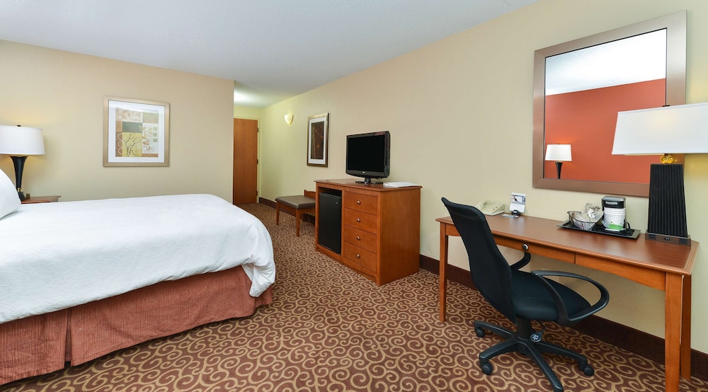 Room, 1 King Bed, Non Smoking (Roll-in Shower) - Photo 2