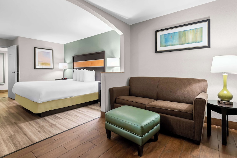 Standard Room, 1 King Bed, Non Smoking, Refrigerator & Microwave photo 3