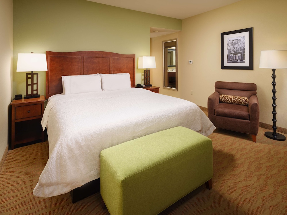 Room, 1 King Bed, Accessible (Hearing) photo 3
