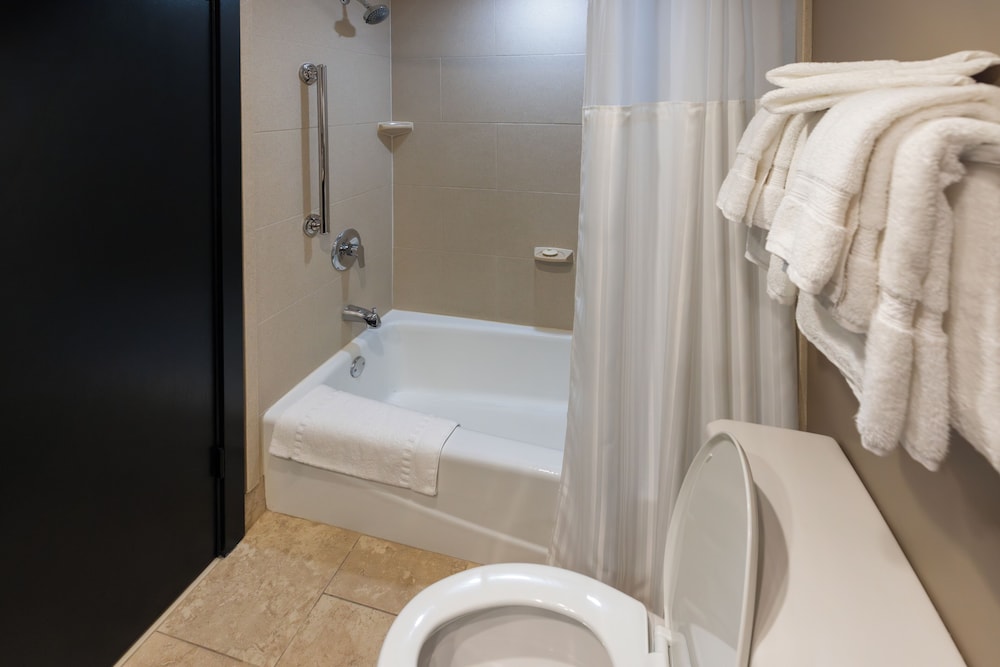 Standard Suite, 1 King Bed with Sofa bed, City View photo 3