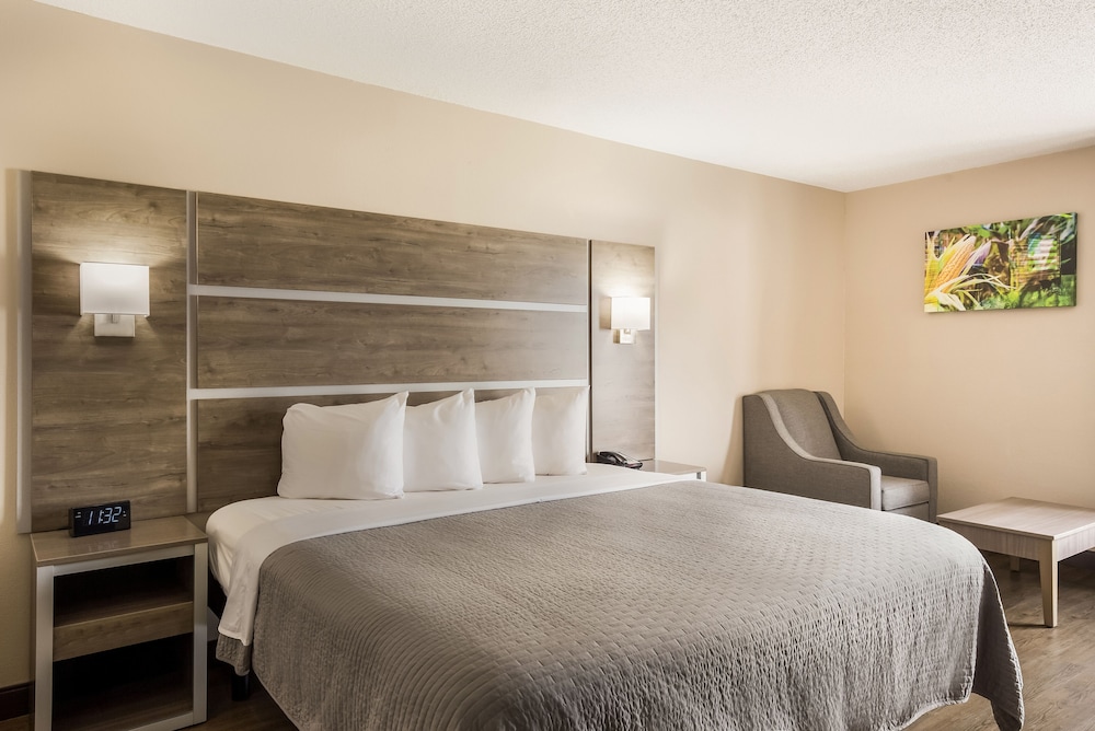 Standard Room, 1 King Bed, Non Smoking - Photo 4