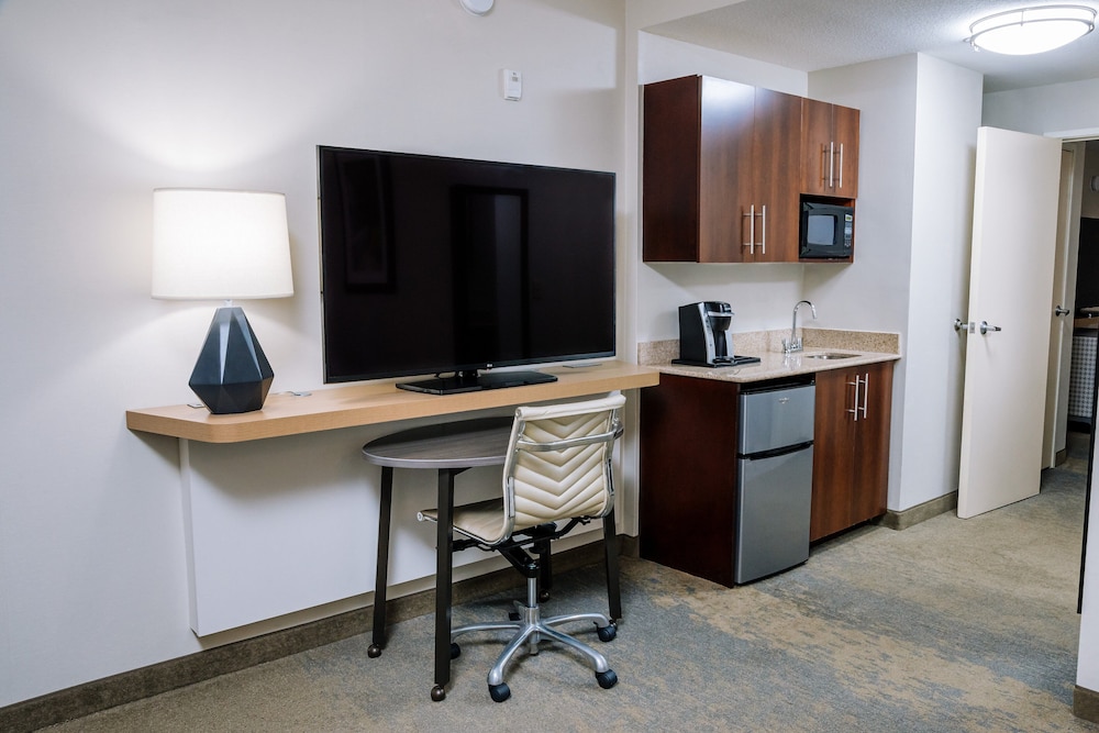 Suite, 1 Bedroom - Photo 4