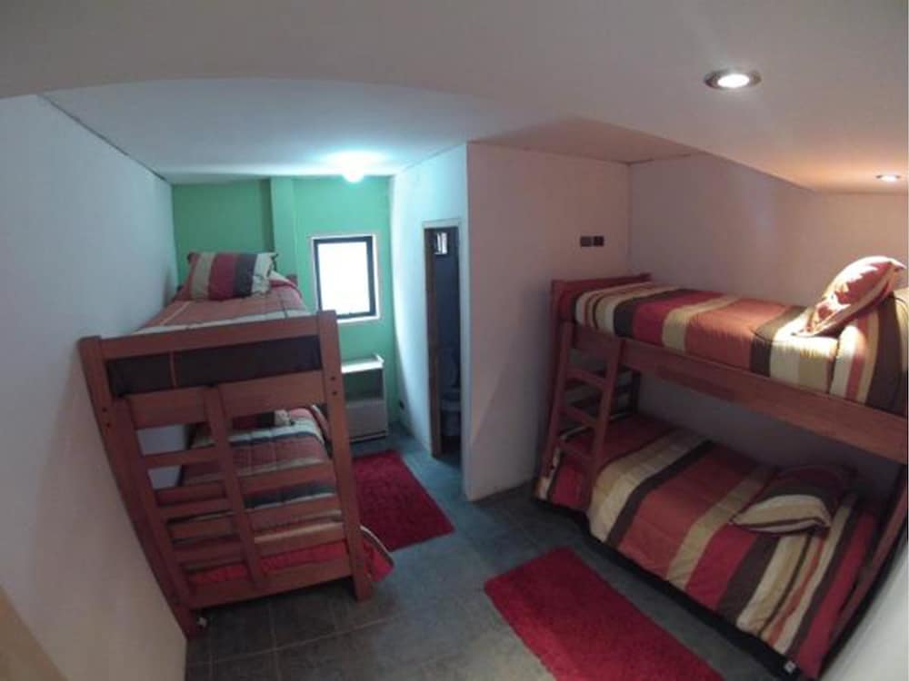 Shared Dormitory, Mix Dorm, 4 Beds photo 1