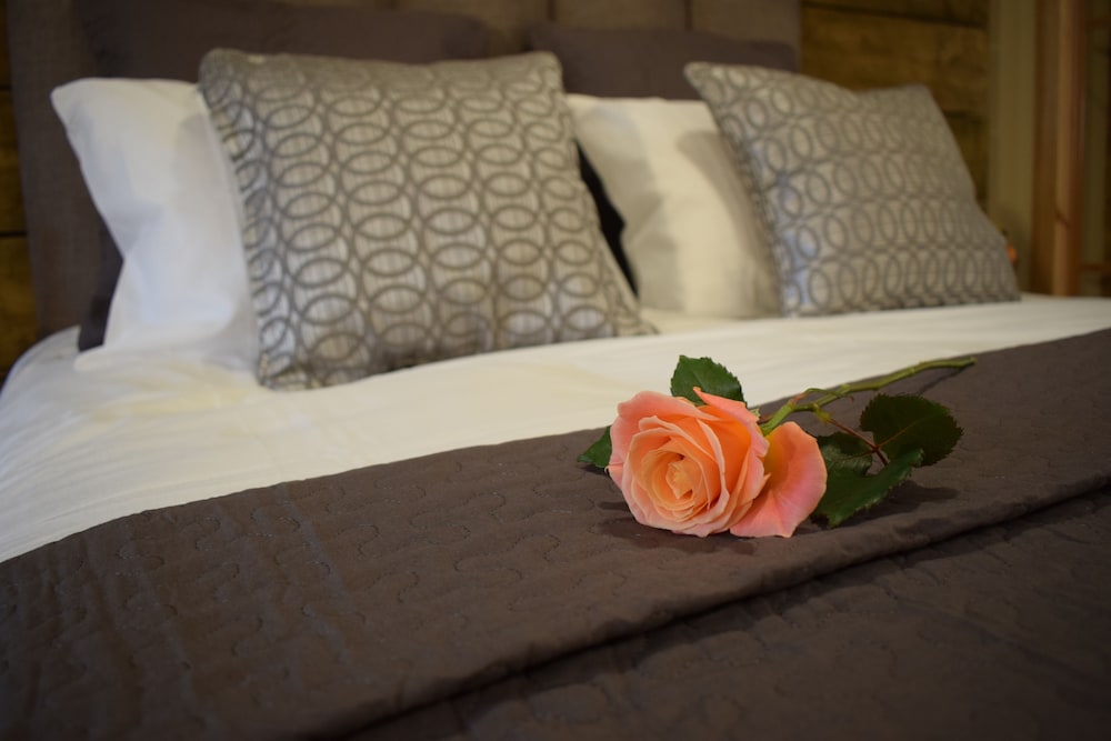Junior Suite (Room Only) photo 2