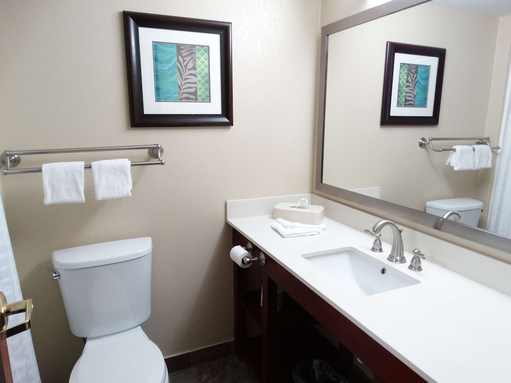 Suite, 1 King Bed, Non Smoking, Refrigerator & Microwave (with Sofabed) - Photo 6