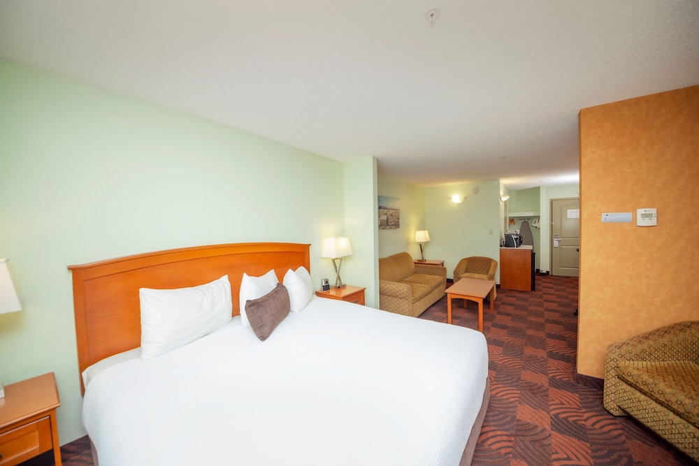 Business Studio Suite, 1 King Bed with Sofa bed - Photo 3