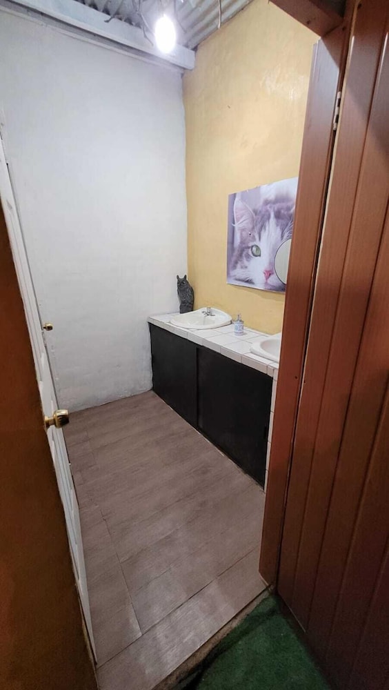Traditional Room, 1 King Bed, Ground Floor photo 3