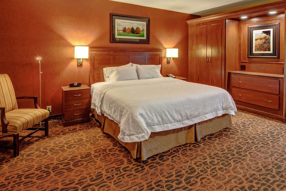 Suite, 1 King Bed, Non Smoking photo 3