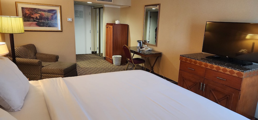Standard Room, 1 King Bed, Non Smoking - Photo 4