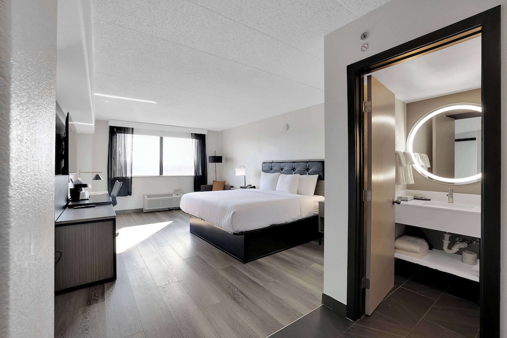 Room, 1 King Bed, Mobility Accessible, Non Smoking (Roll-In Shower) - Photo 8