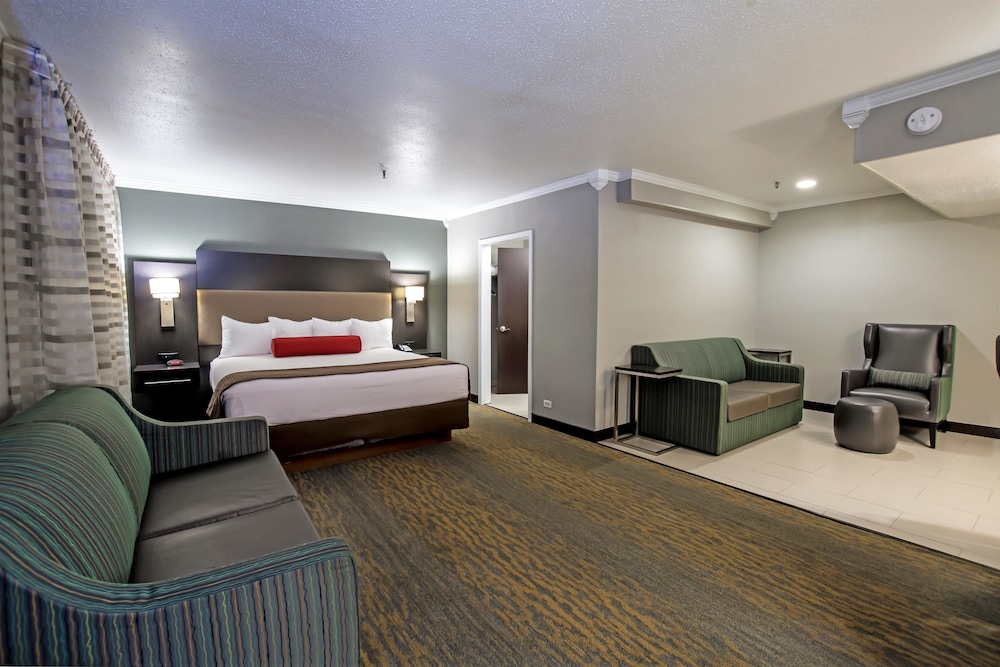 Suite, 1 King Bed, Non Smoking, Refrigerator & Microwave (Larger Room;with Sofabed) - Photo 2