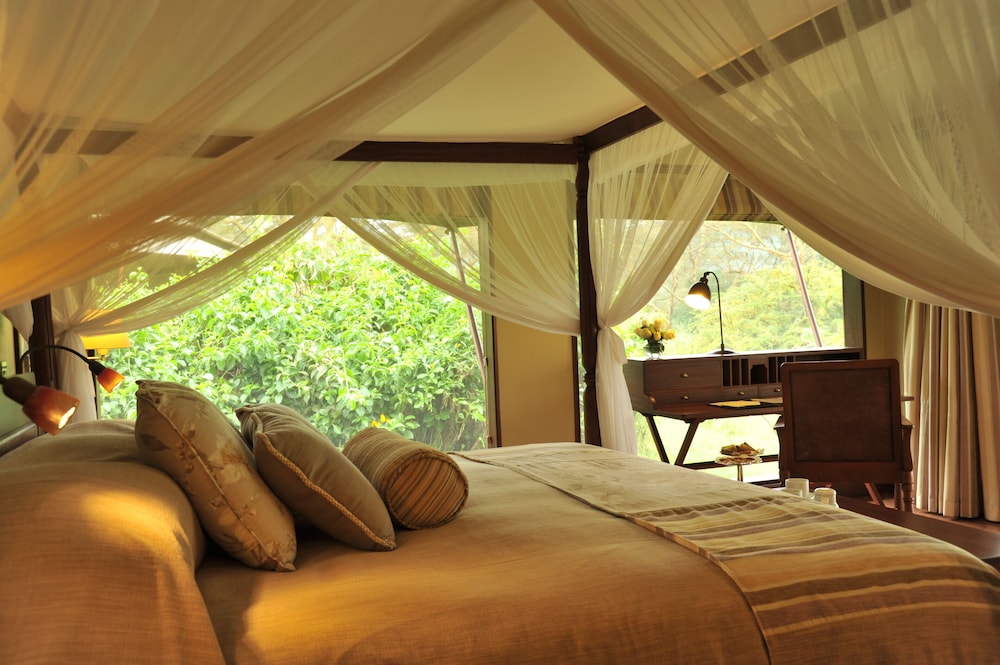 Deluxe Tent - Photo 1
