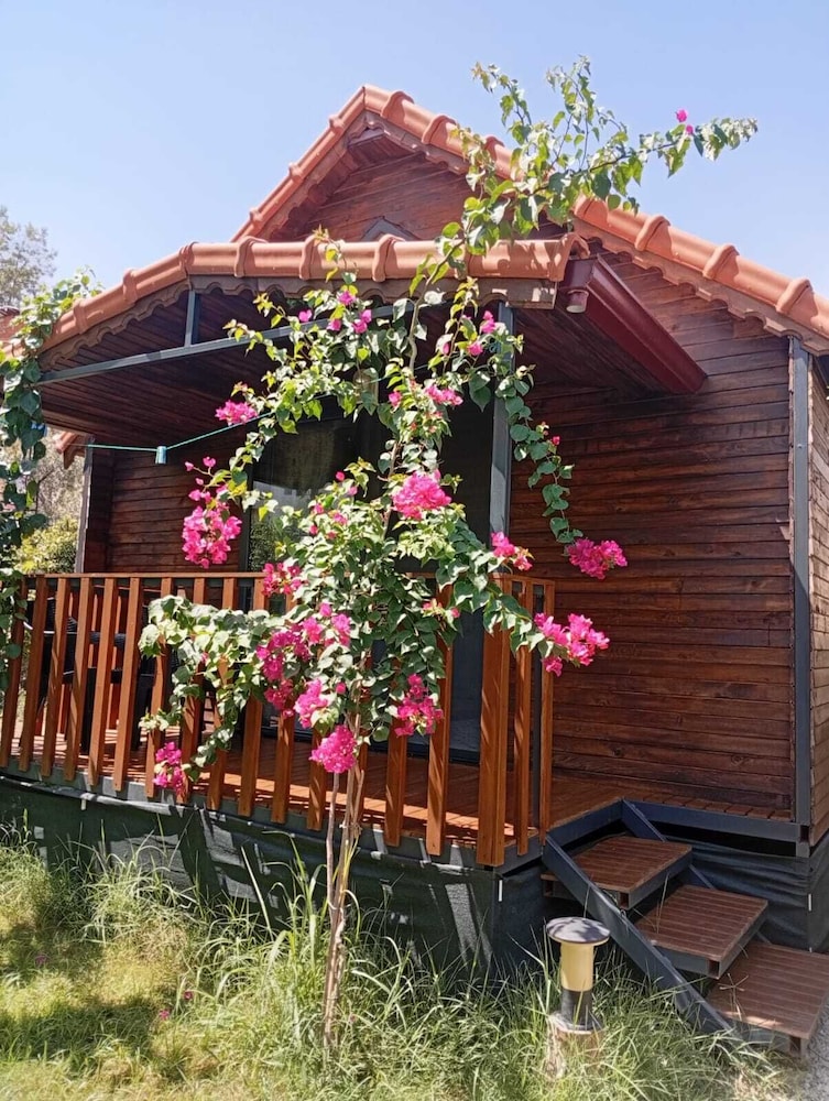 Comfort Bungalow photo 3