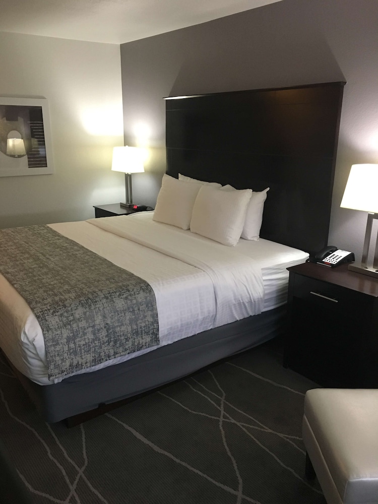 Standard Room, 1 King Bed, Non Smoking, Refrigerator & Microwave - Photo 3