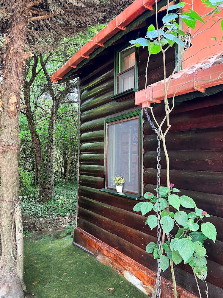Family Bungalow, 2 Bedrooms, Garden View photo 2