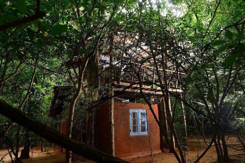 Tree House, 1 Double Bed, Garden View photo 1