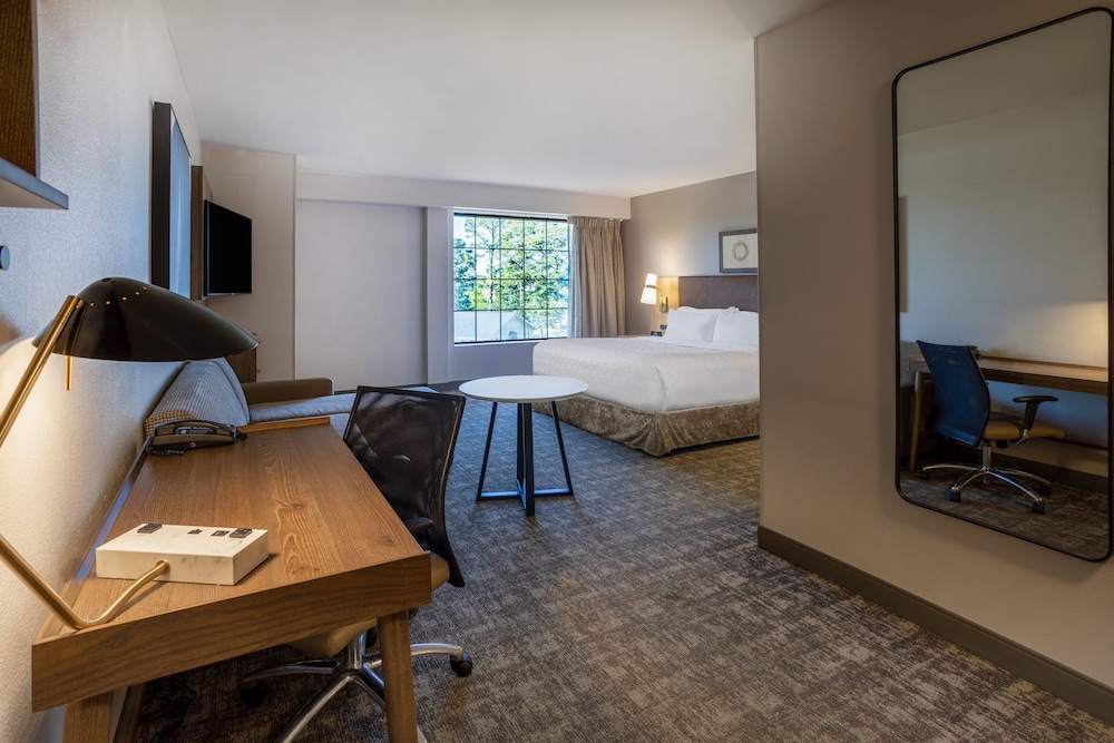 Studio Suite, 1 King Bed, Accessible, Kitchen (Accessible Tub) - Photo 3