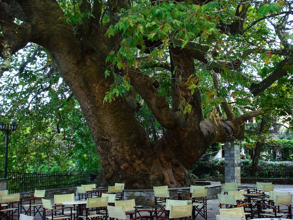 Kanari s House Pelion, Billede 26