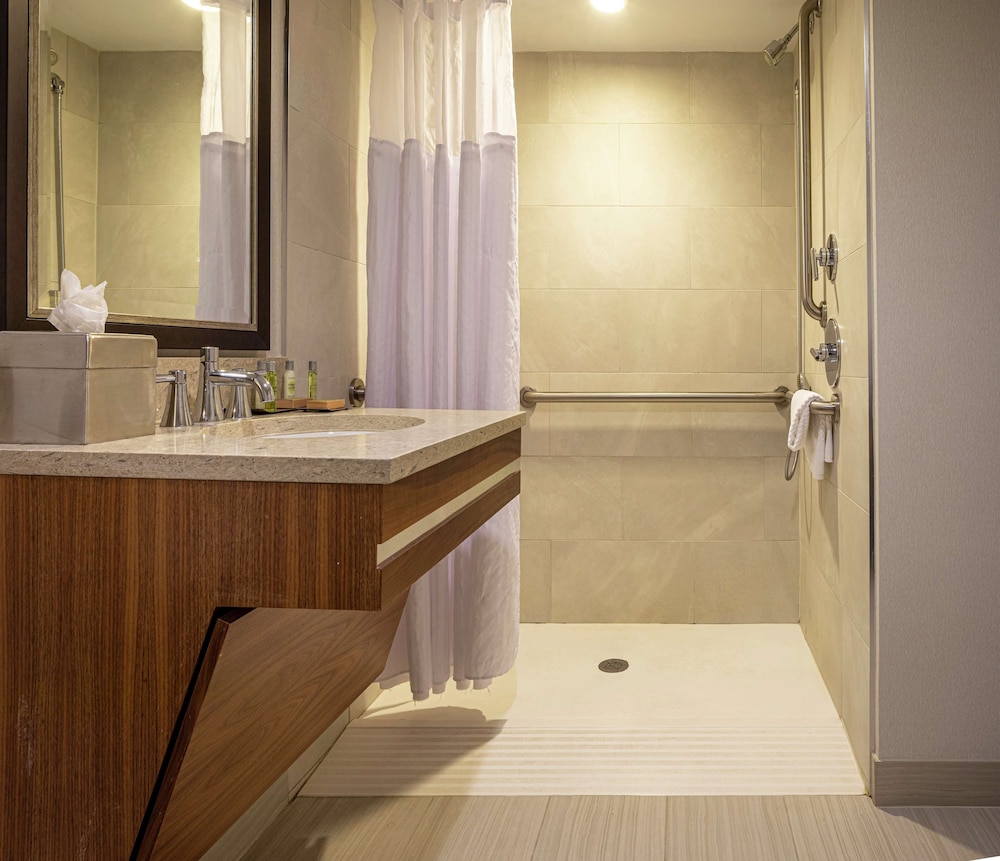 Suite, Accessible, Non Smoking - Photo 6