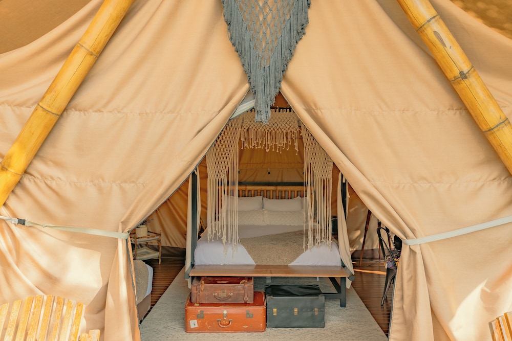 Safari Lux 2 - Photo 7
