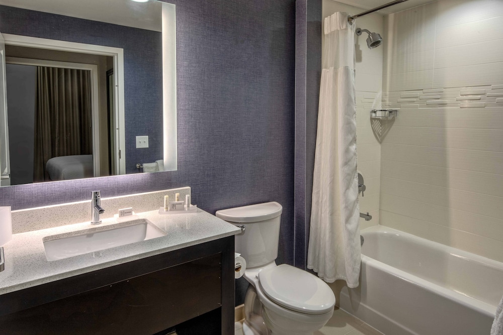 Suite, 1 Bedroom photo 3