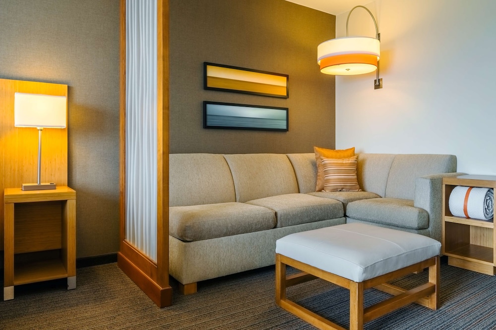 Standard Room, 1 King Bed With Sofa Bed