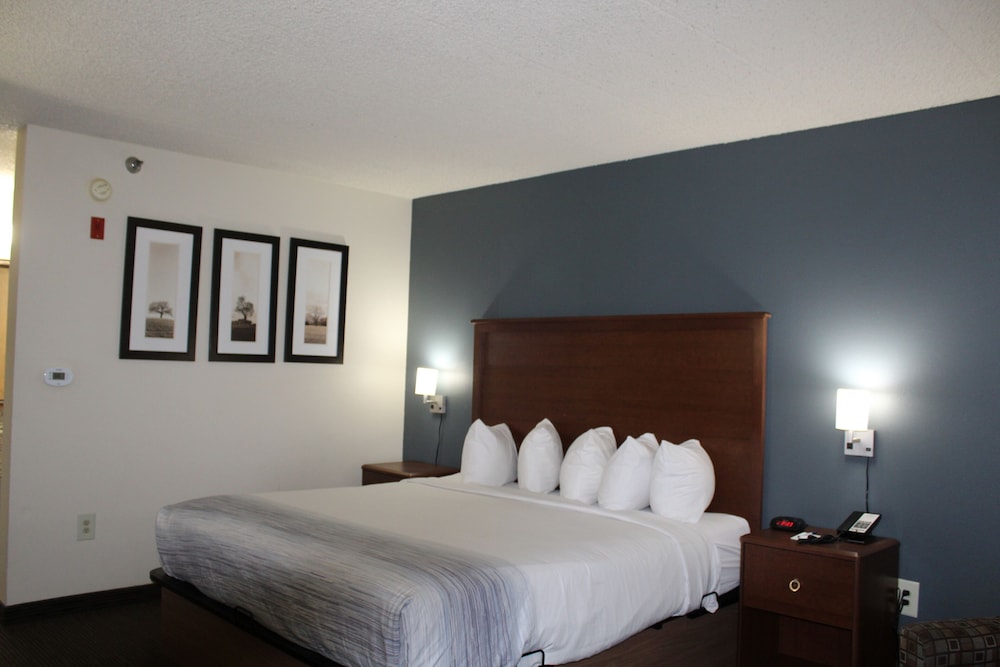 Deluxe Studio Suite, 1 King Bed, Non Smoking - Photo 9