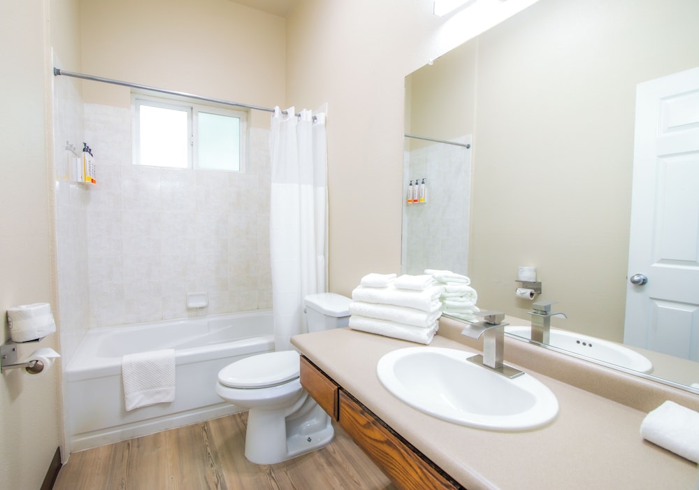 Standard Single Room, 1 King Bed photo 3