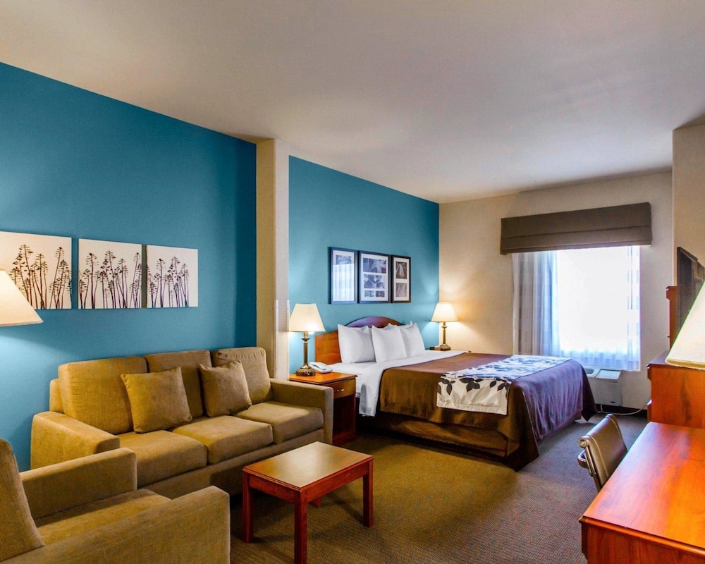 Suite, 1 King Bed with Sofa bed, Accessible, Non Smoking photo 2
