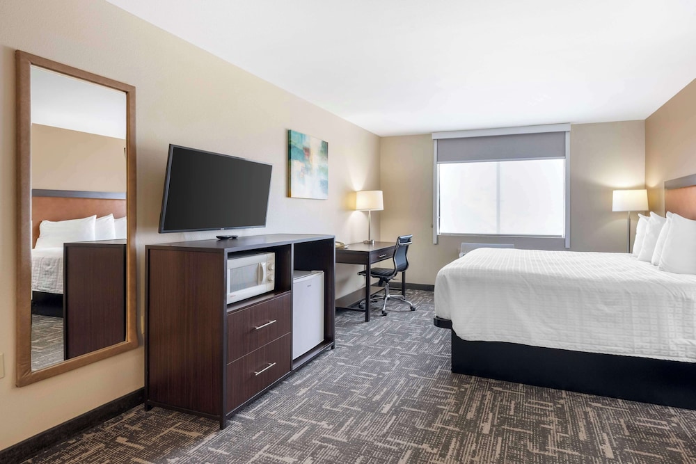 Standard Room, 1 King Bed, Non Smoking, Refrigerator & Microwave photo 1