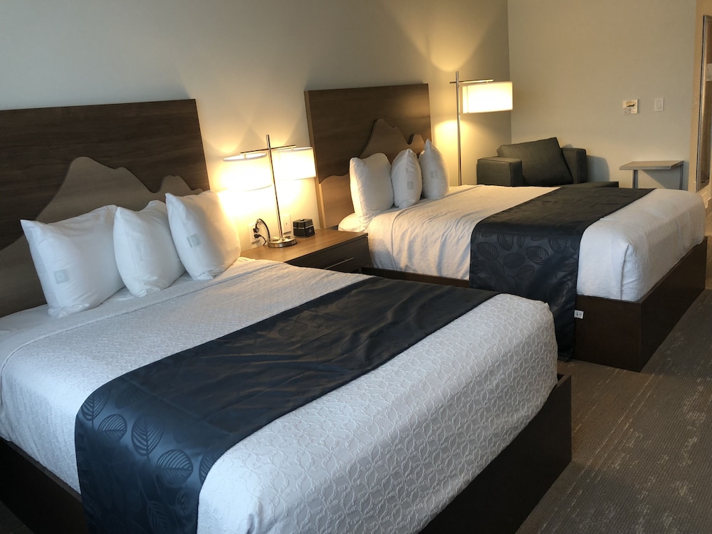 Twin Room photo 1