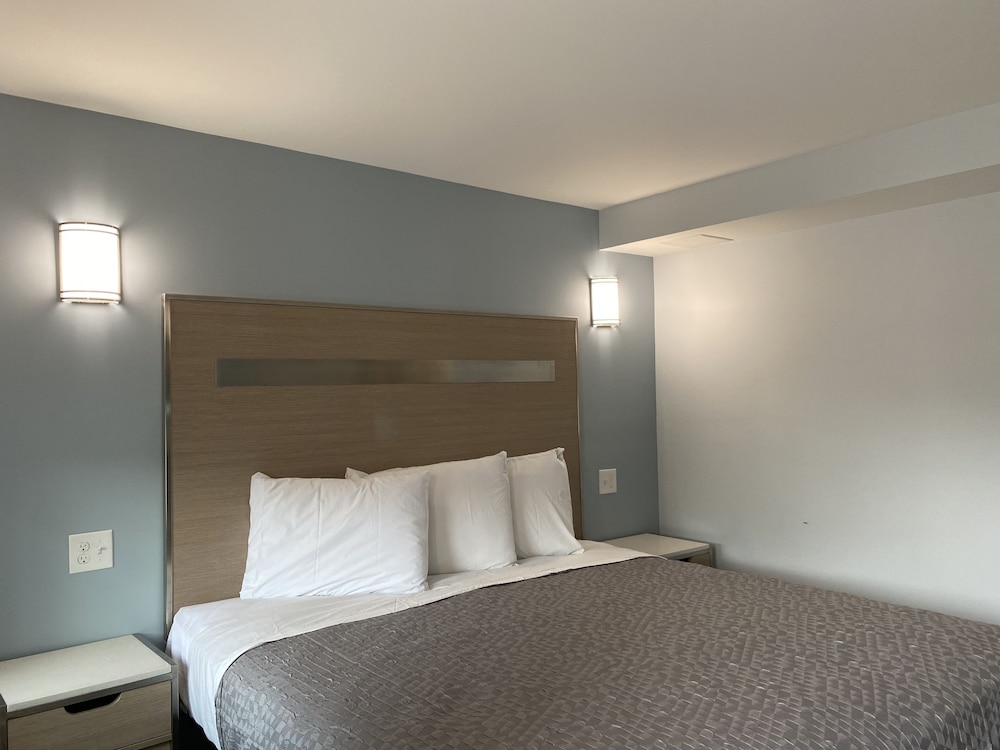 Room, 1 King Bed photo 1
