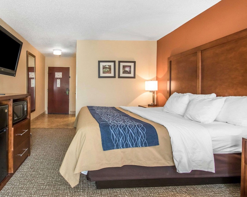 Room, 1 King Bed, Accessible, Non Smoking photo 2