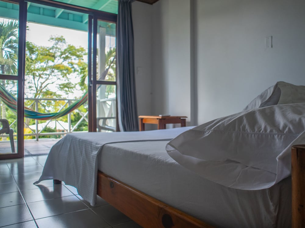 Basic Double Room, Multiple Beds photo 1