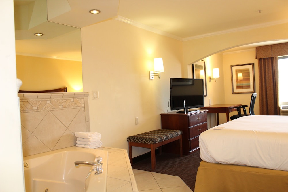 Suite, 1 Bedroom, Jetted Tub - Photo 3