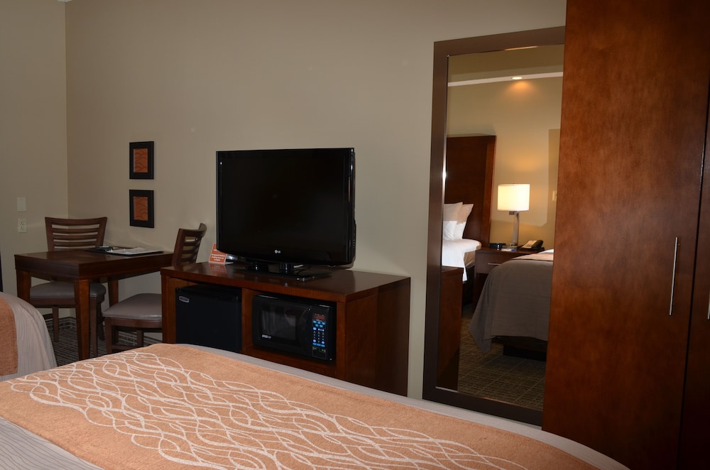 Suite, 1 King Bed with Sofa bed, Accessible, Non Smoking - Photo 2