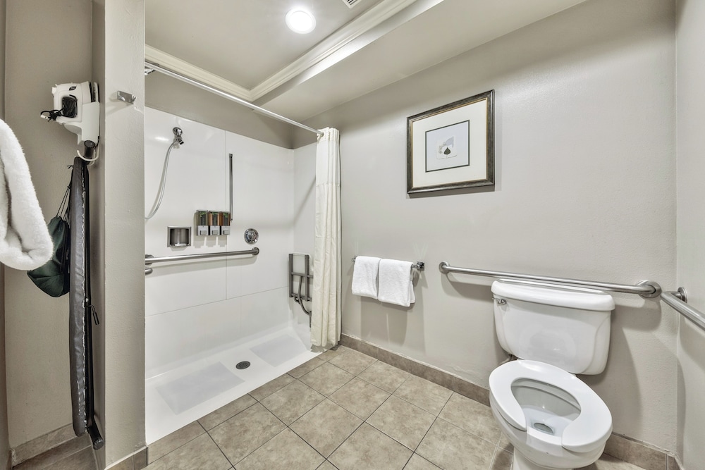 Deluxe Suite, 1 Bedroom (ADA) - Photo 8