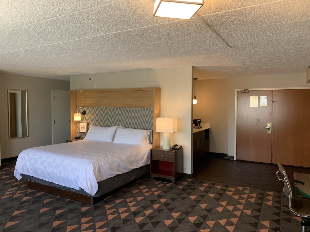 Suite, 1 Bedroom - Photo 4