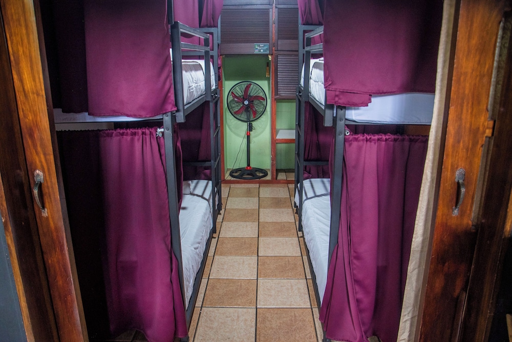Shared Dormitory, Quadruple Room (4 Beds)