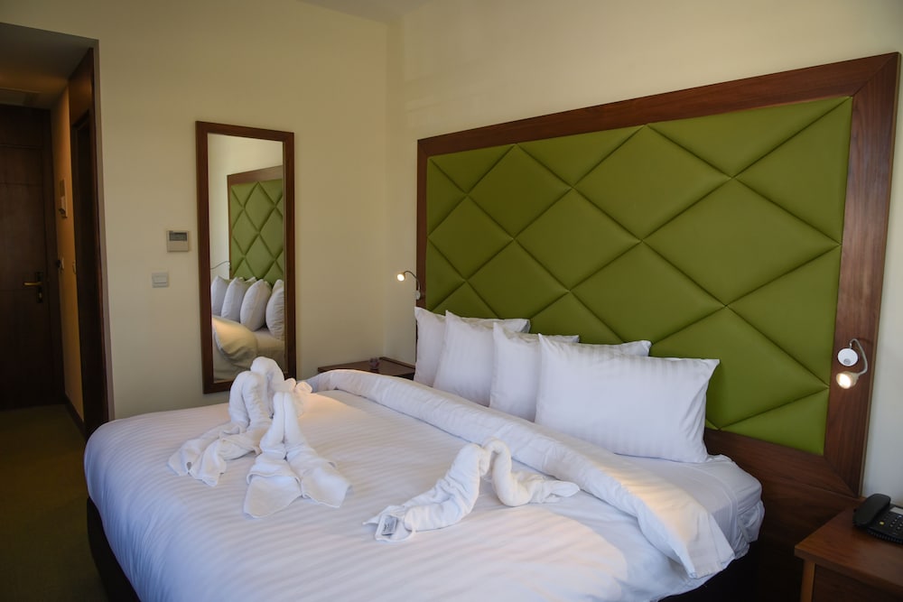 Deluxe Double or Twin Room, 1 Bedroom - Photo 15