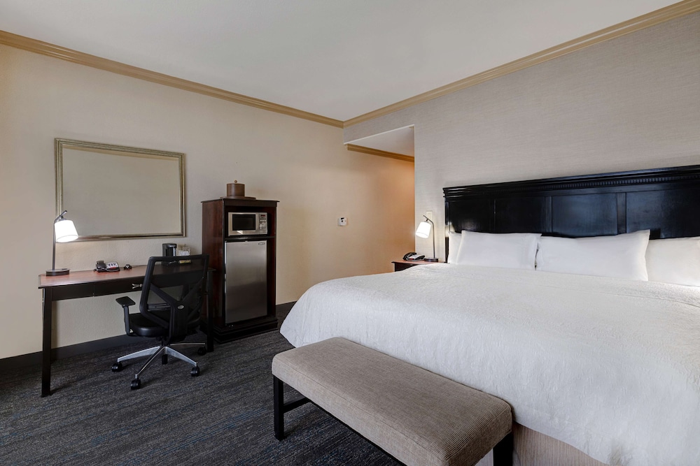 Studio, One King Bed, Non-Smoking (Studio with Balcony, Non-Smoking) - Photo 4