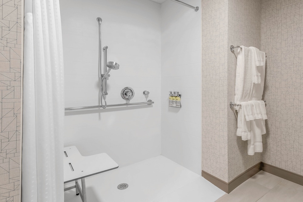 Single Room, 1 King Bed with Sofa bed, Mobility Accessible (Roll-In Shower)