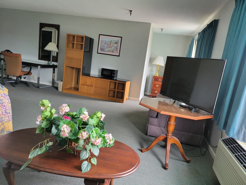 Deluxe Suite photo 1